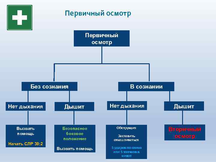 Первичный осмотр Без сознания В сознании Нет дыхания Дышит Вызвать помощь Безопасное боковое положение