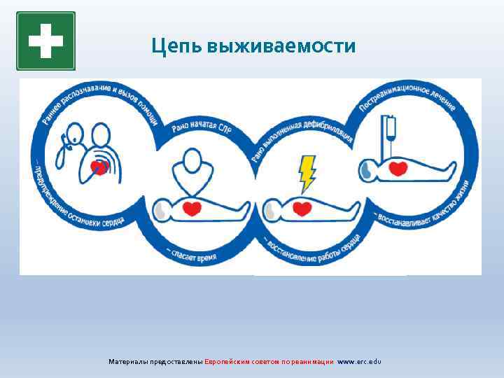 Цепь выживаемости Материалы предоставлены Европейским советом по реанимации www. erc. edu 