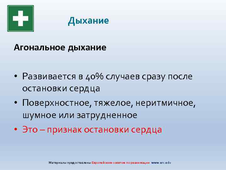 Дыхание Агональное дыхание • Развивается в 40% случаев сразу после остановки сердца • Поверхностное,