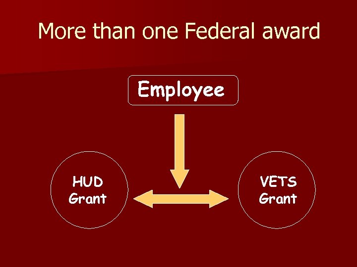 More than one Federal award Employee HUD Grant VETS Grant 