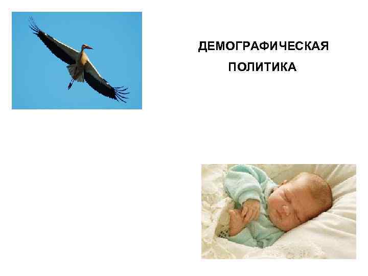 ДЕМОГРАФИЧЕСКАЯ ПОЛИТИКА 