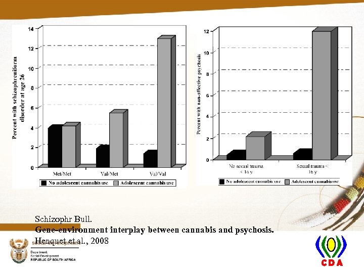 Schizophr Bull. Gene-environment interplay between cannabis and psychosis. Henquet et al. , 2008 