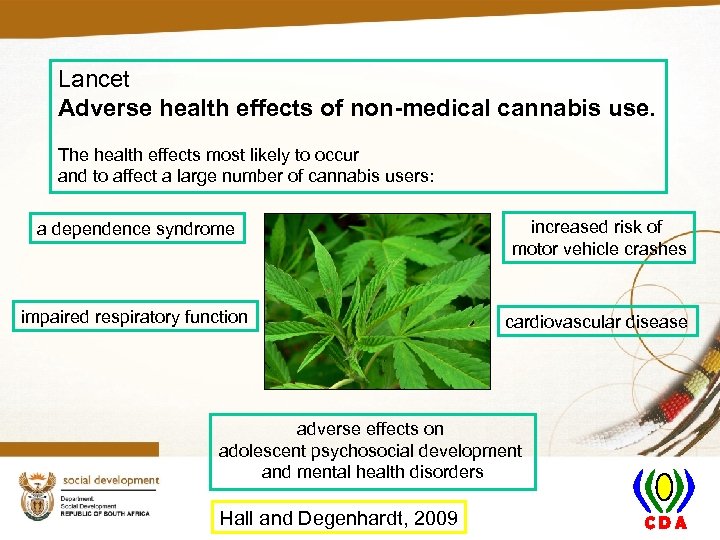 Lancet Adverse health effects of non-medical cannabis use. The health effects most likely to