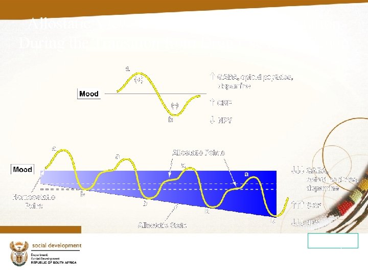 Allostatic View of Neurotransmitter Adaptation During the Transition from Drug Use to Addiction Koob,