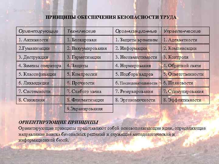 Безопасность жизнедеятельности ПРИНЦИПЫ ОБЕСПЕЧЕНИЯ БЕЗОПАСНОСТИ ТРУДА Ориентирующие Технические Организационные Управленческие 1. Активности 1. Блокировки