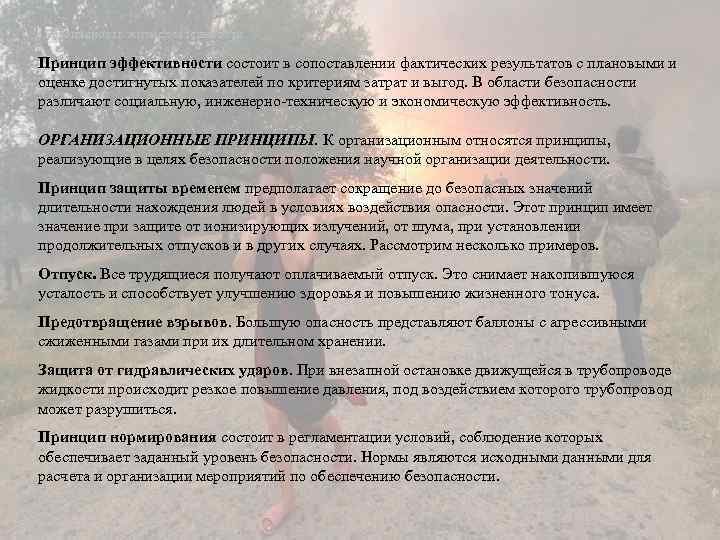Безопасность жизнедеятельности Принцип эффективности состоит в сопоставлении фактических результатов с плановыми и оценке достигнутых