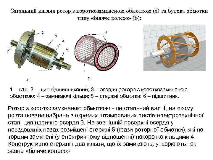 Загальний вигляд ротор з короткозамкненою обмоткою (а) та будова обмотки типу «біляче колесо» (б):