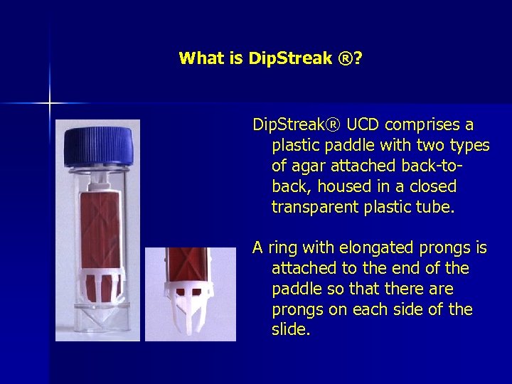 What is Dip. Streak ®? Dip. Streak® UCD comprises a plastic paddle with two