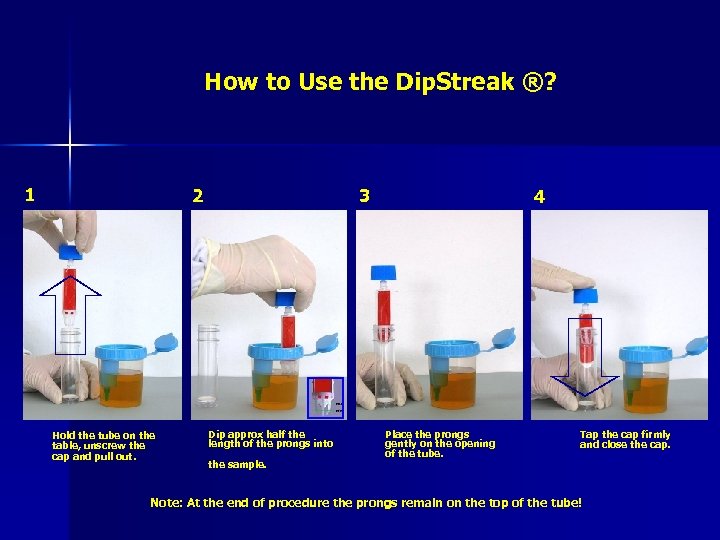 How to Use the Dip. Streak ®? 1 2 Hold the tube on the