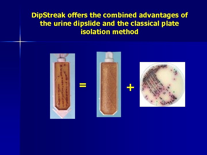 Dip. Streak offers the combined advantages of the urine dipslide and the classical plate