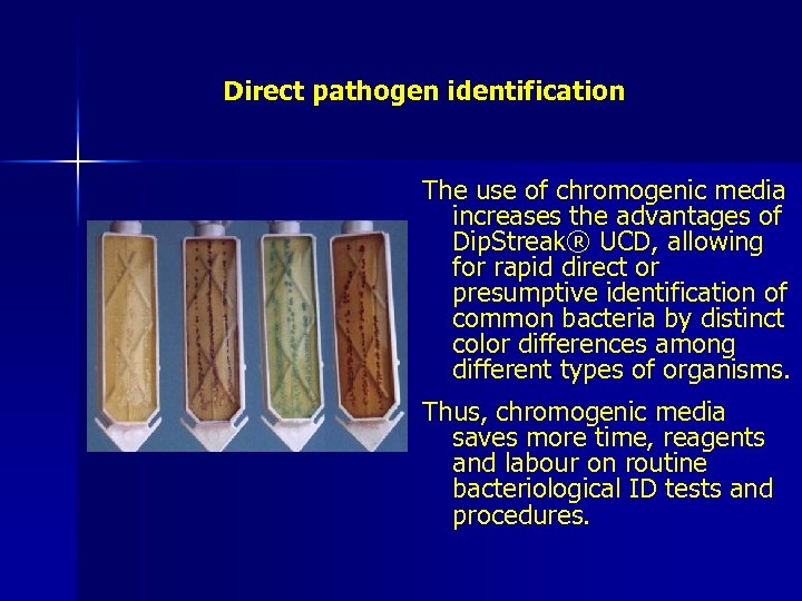 Direct pathogen identification The use of chromogenic media increases the advantages of Dip. Streak®