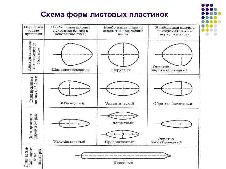 Рефренная форма схема