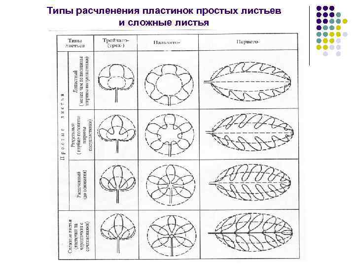 Таблицы схемы нарисовать