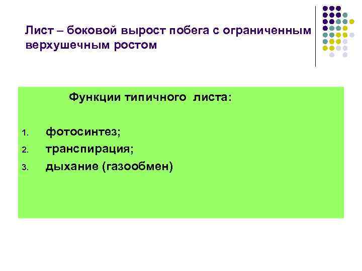 Лист – боковой вырост побега с ограниченным верхушечным ростом Функции типичного листа: 1. 2.