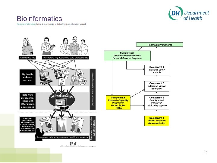 Bioinformatics 11 