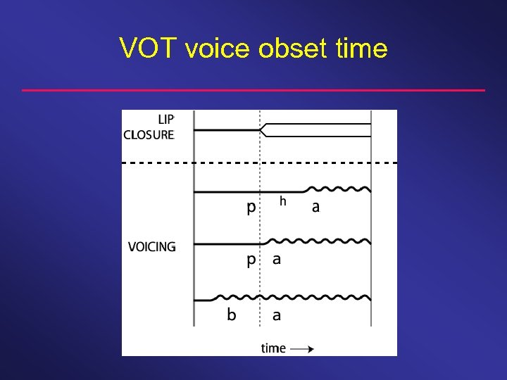 VOT voice obset time 