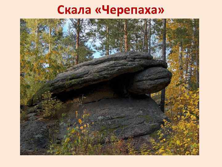 Скала «Черепаха» 