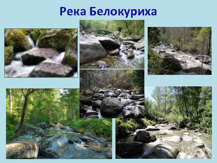 Река Белокуриха 