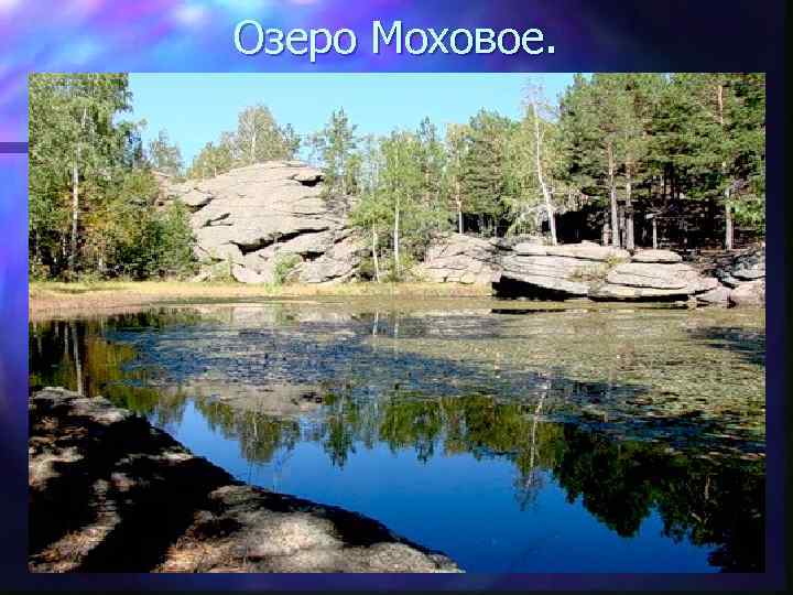 Озеро Моховое. 