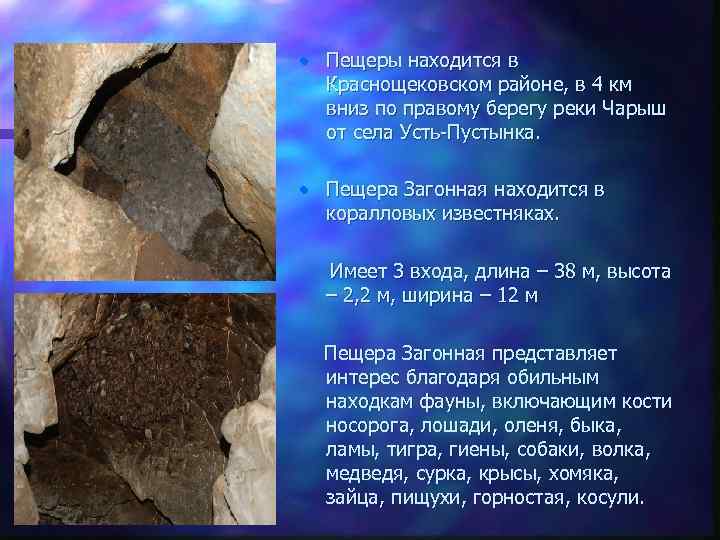  • Пещеры находится в Краснощековском районе, в 4 км вниз по правому берегу