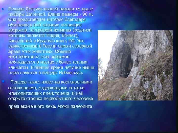  • Пещера Летучих мышей находится выше пещеры Загонной. Длина пещеры - 90 м.