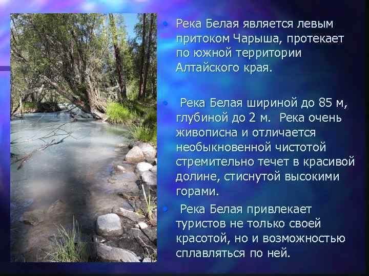  • Река Белая является левым притоком Чарыша, протекает по южной территории Алтайского края.