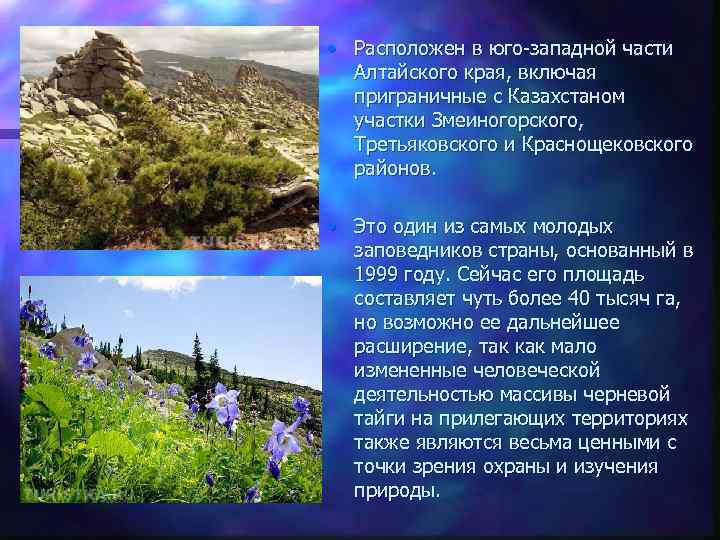  • Расположен в юго-западной части Алтайского края, включая приграничные с Казахстаном участки Змеиногорского,