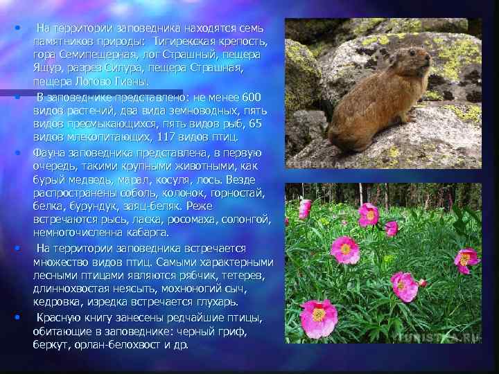  • • • На территории заповедника находятся семь памятников природы: Тигирекская крепость, гора