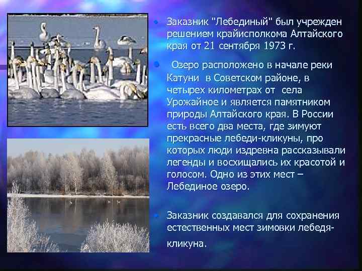  • Заказник 