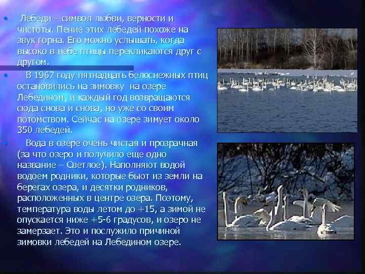  • Лебеди – символ любви, верности и чистоты. Пение этих лебедей похоже на