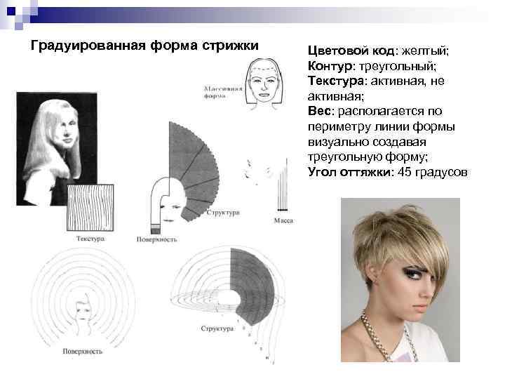 Градуированная форма стрижки Цветовой код: желтый; Контур: треугольный; Текстура: активная, не активная; Вес: располагается