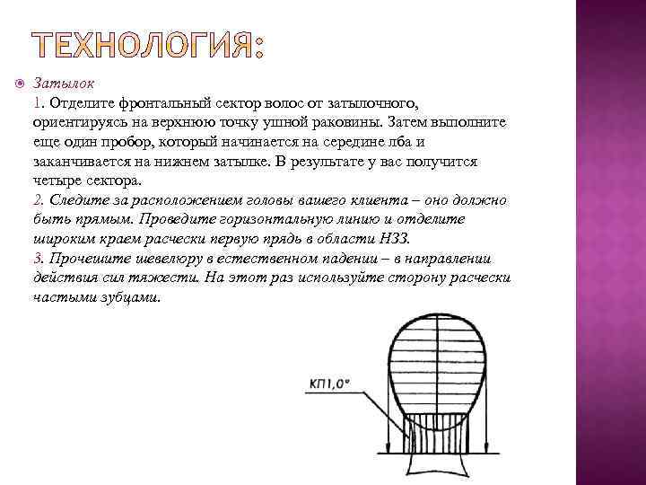  Затылок 1. Отделите фронтальный сектор волос от затылочного, ориентируясь на верхнюю точку ушной