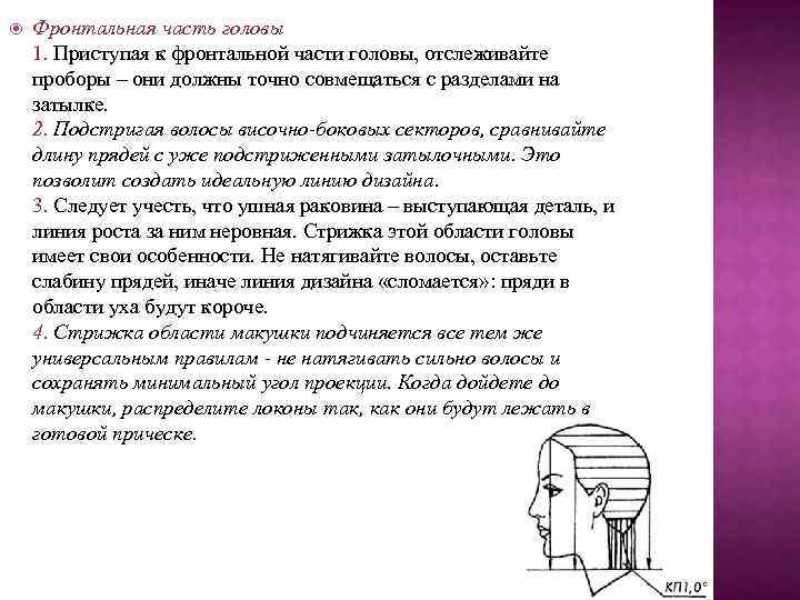  Фронтальная часть головы 1. Приступая к фронтальной части головы, отслеживайте проборы – они