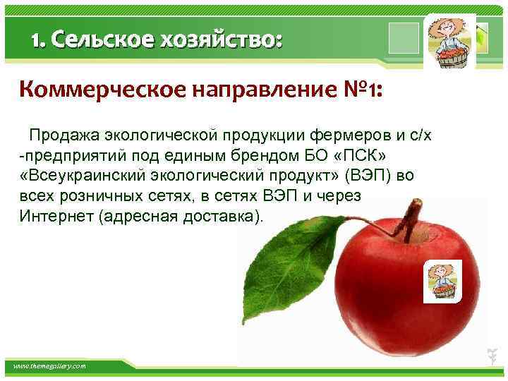 1. Сельское хозяйство: Коммерческое направление № 1: Продажа экологической продукции фермеров и с/х -предприятий