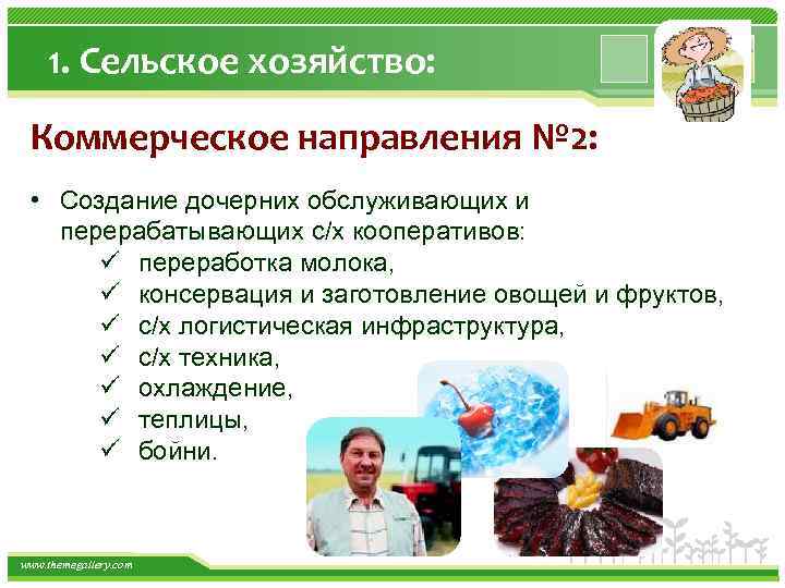 1. Сельское хозяйство: Коммерческое направления № 2: • Создание дочерних обслуживающих и перерабатывающих с/х