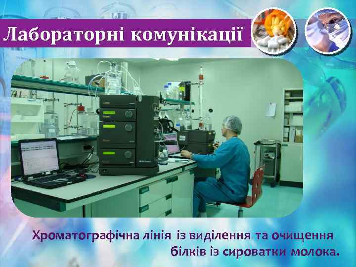 Лабораторні комунікації Хроматографічна лінія із виділення та очищення білків із сироватки молока. 