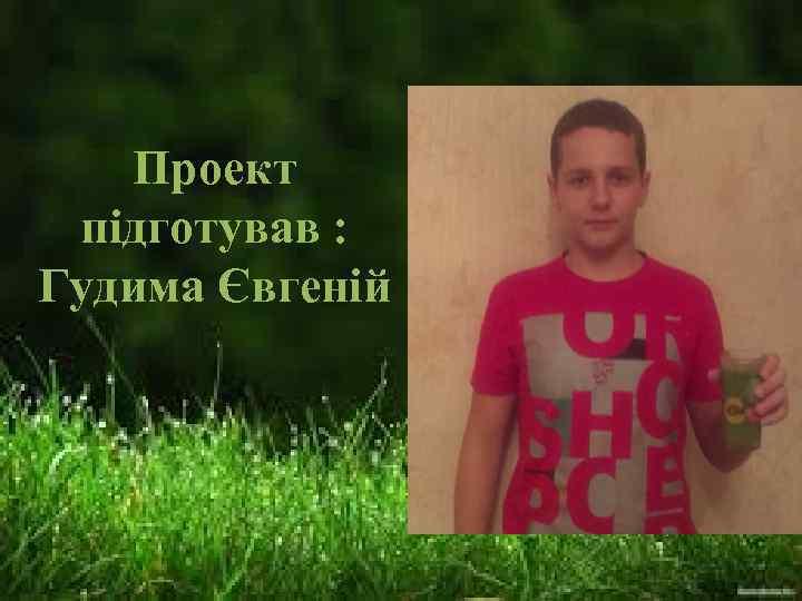 Проект підготував : Гудима Євгеній 