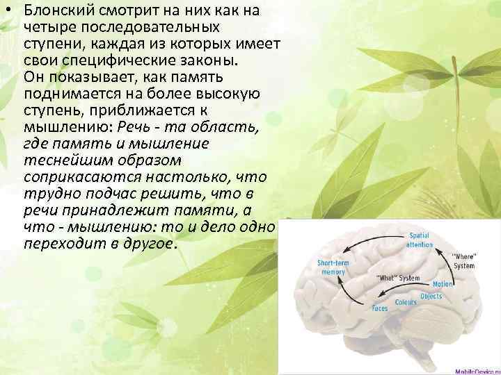  • Блонский смотрит на них как на четыре последовательных ступени, каждая из которых