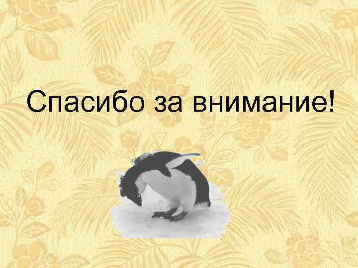 Спасибо за внимание! 