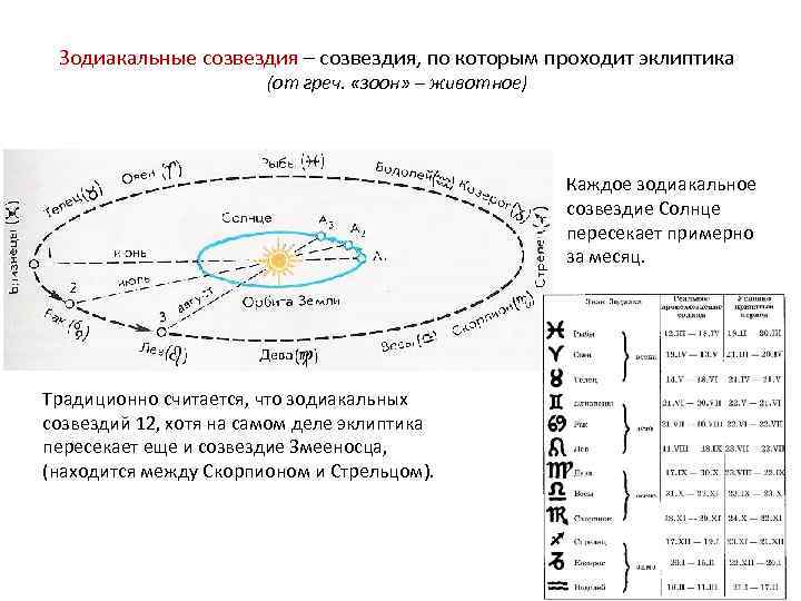 Зодиакальные созвездия – созвездия, по которым проходит эклиптика (от греч. «зоон» – животное) Каждое