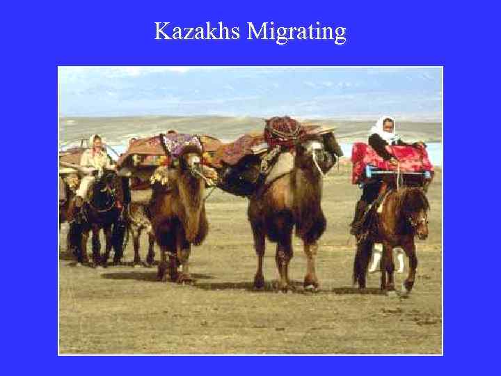 Kazakhs Migrating 