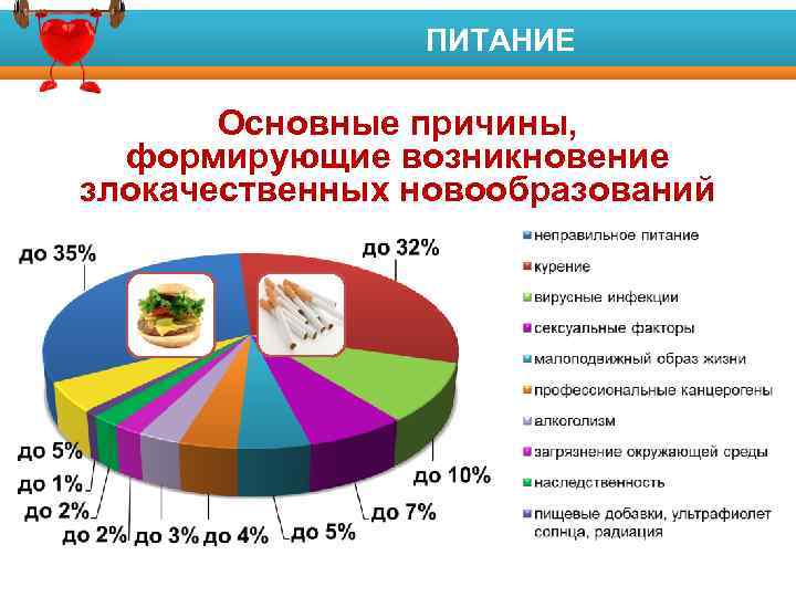 ПИТАНИЕ Факторы риска развития заболеваний Основные причины, формирующие возникновение злокачественных новообразований 