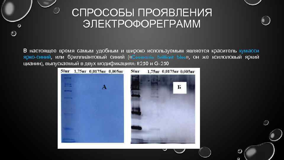 СПРОСОБЫ ПРОЯВЛЕНИЯ ЭЛЕКТРОФОРЕГРАММ В настоящее время самым удобным и широко используемым является краситель кумасси