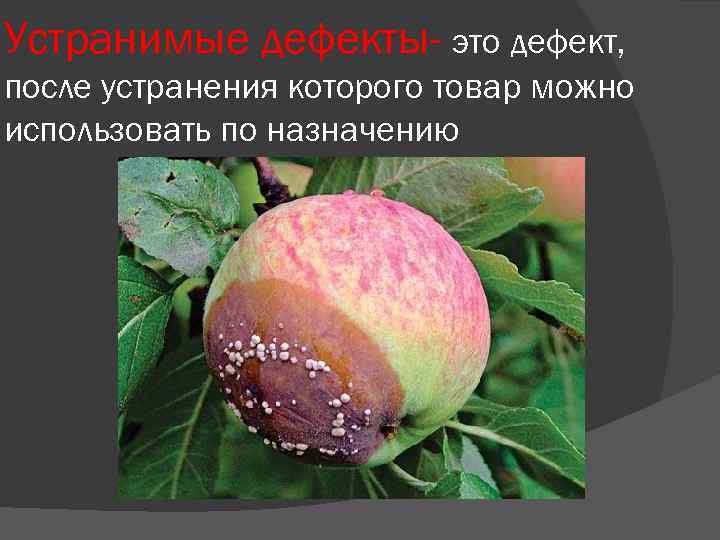 Устранимые дефекты- это дефект, после устранения которого товар можно использовать по назначению 