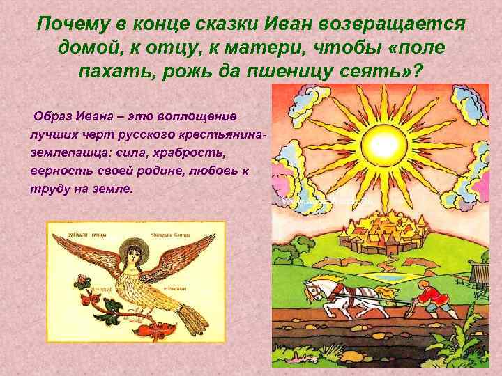 Почему в конце сказки Иван возвращается домой, к отцу, к матери, чтобы «поле пахать,