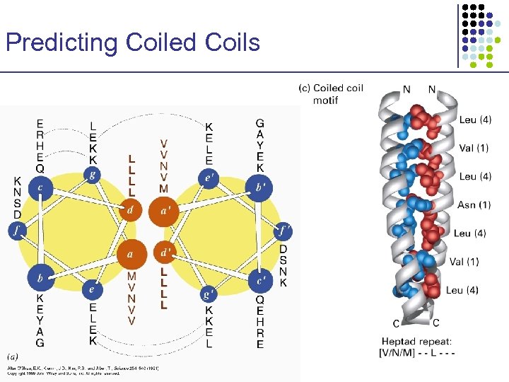 Predicting Coiled Coils 