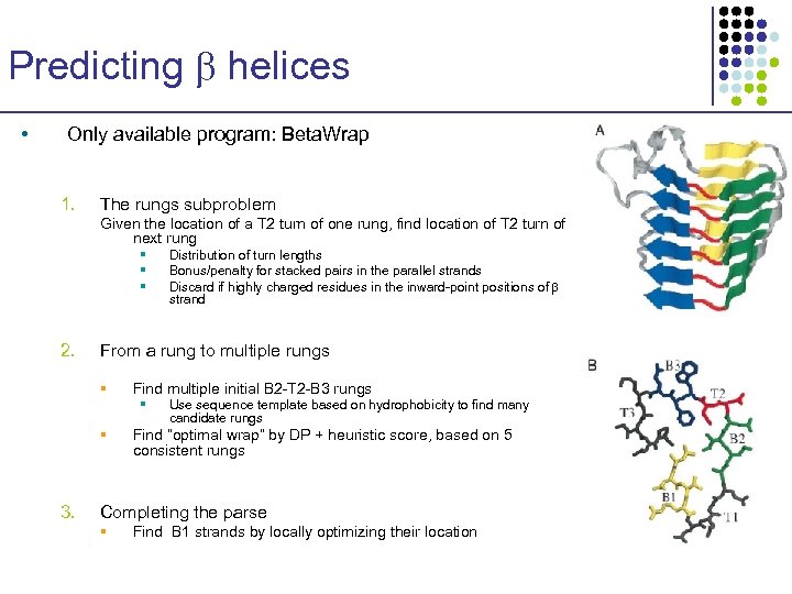 Predicting helices • Only available program: Beta. Wrap 1. The rungs subproblem Given the