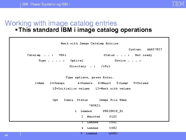 IBM Power Systems og IBM i Working with image catalog entries § This standard