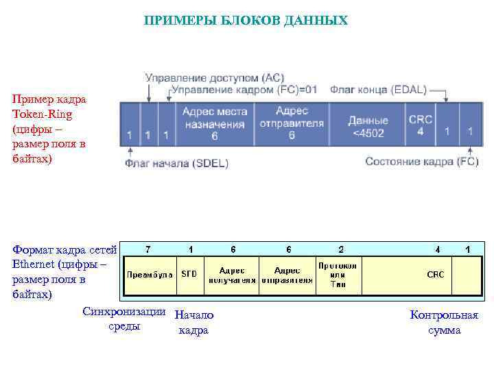 Кадр передачи данных