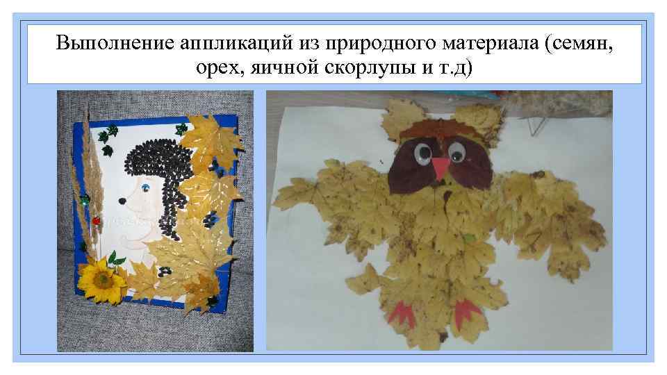 Выполнение аппликаций из природного материала (семян, орех, яичной скорлупы и т. д) 